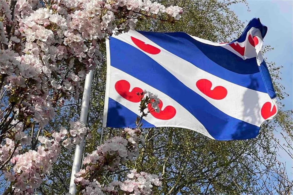 De Twee Zwanen Villa Delfstrahuizen Eksteriør billede